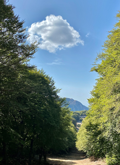 marini_130
