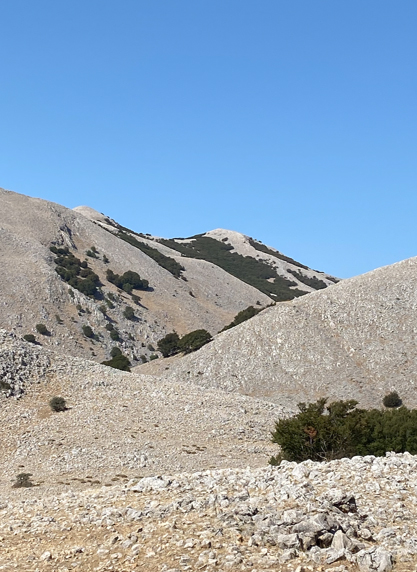marini_135
